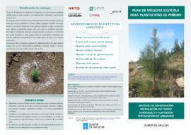 Plan de mellora silvícola para plantacións de piñeiro. Material de reproducion, preparacion do te...