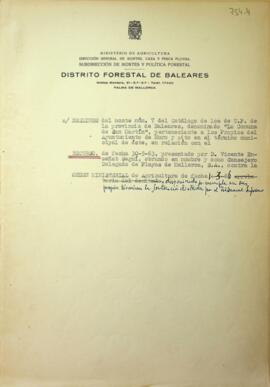 Deslinde administrativo del monte nº 7 del catálogo de U.P., "Comuna de San Martín" de ...