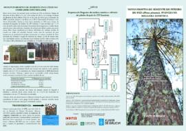 Novos hortos de semente de piñeiro do pais (Pinus pinaster). Avances na mellora xenetica