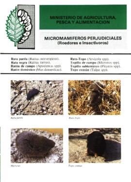 MICROMAMÍFEROS PERJUDICIALES (Roedores e Insectívoros)