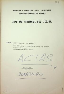 Deslinde del monte "Son Moragues". Actas y borradores