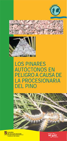 Los pinares autóctonos en peligro a causa de la procesionaria del pino